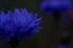 2023_0521_10493300