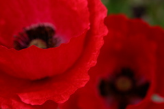 DSCF3458
