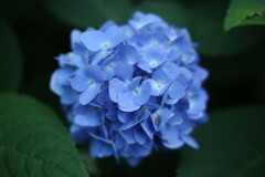 2023_0617_17463500