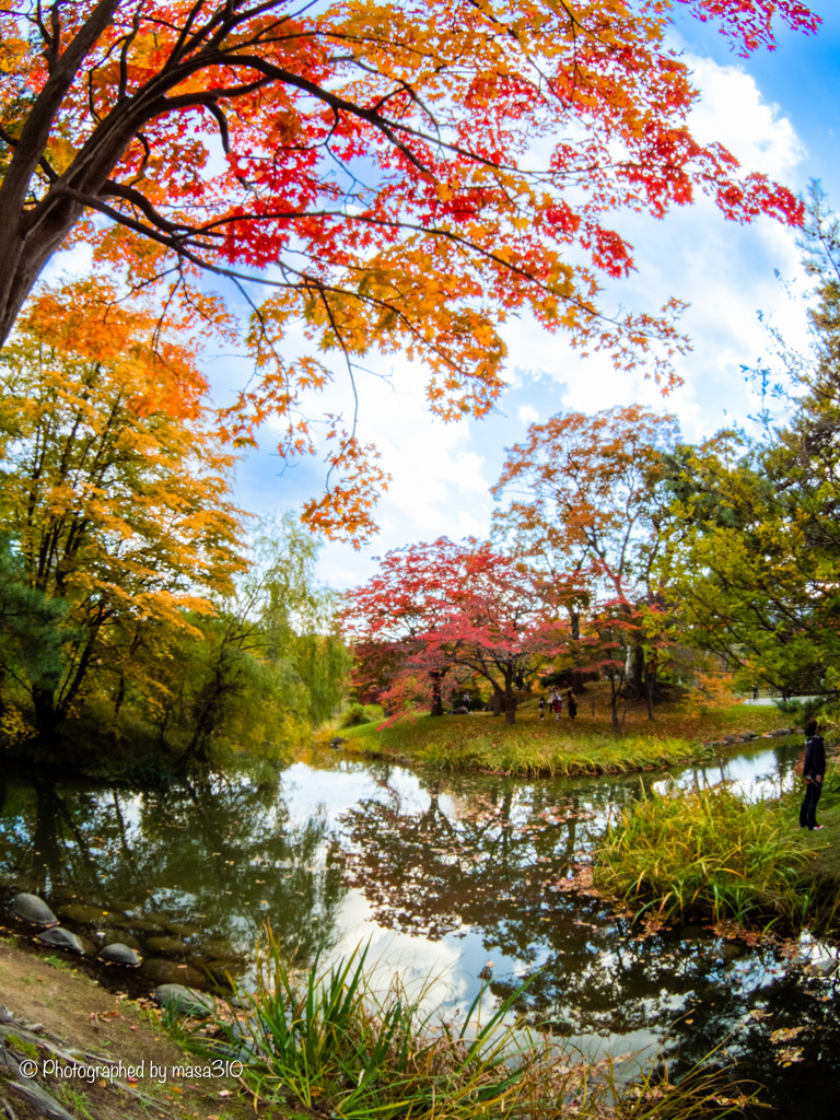 Nakajima Park in autumn 1