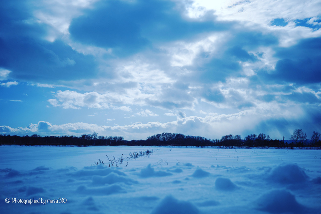 Winter Land