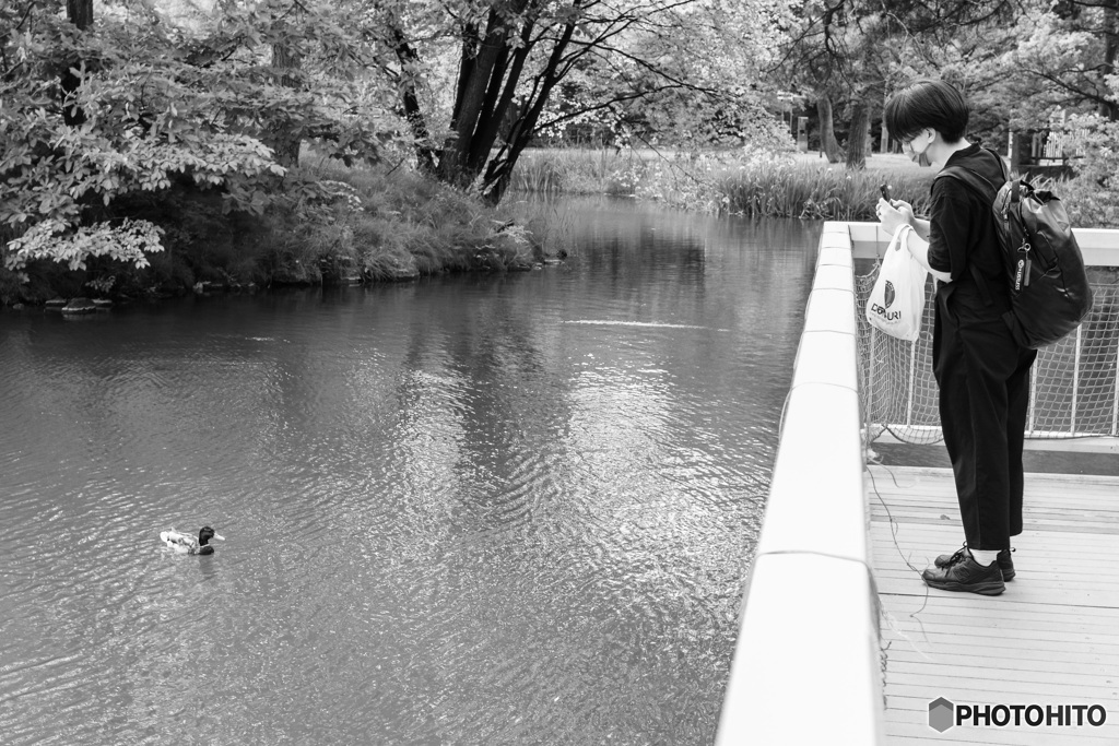 Woman taking a picture of a duck