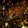 SAPPORO LANTERN NIGHT