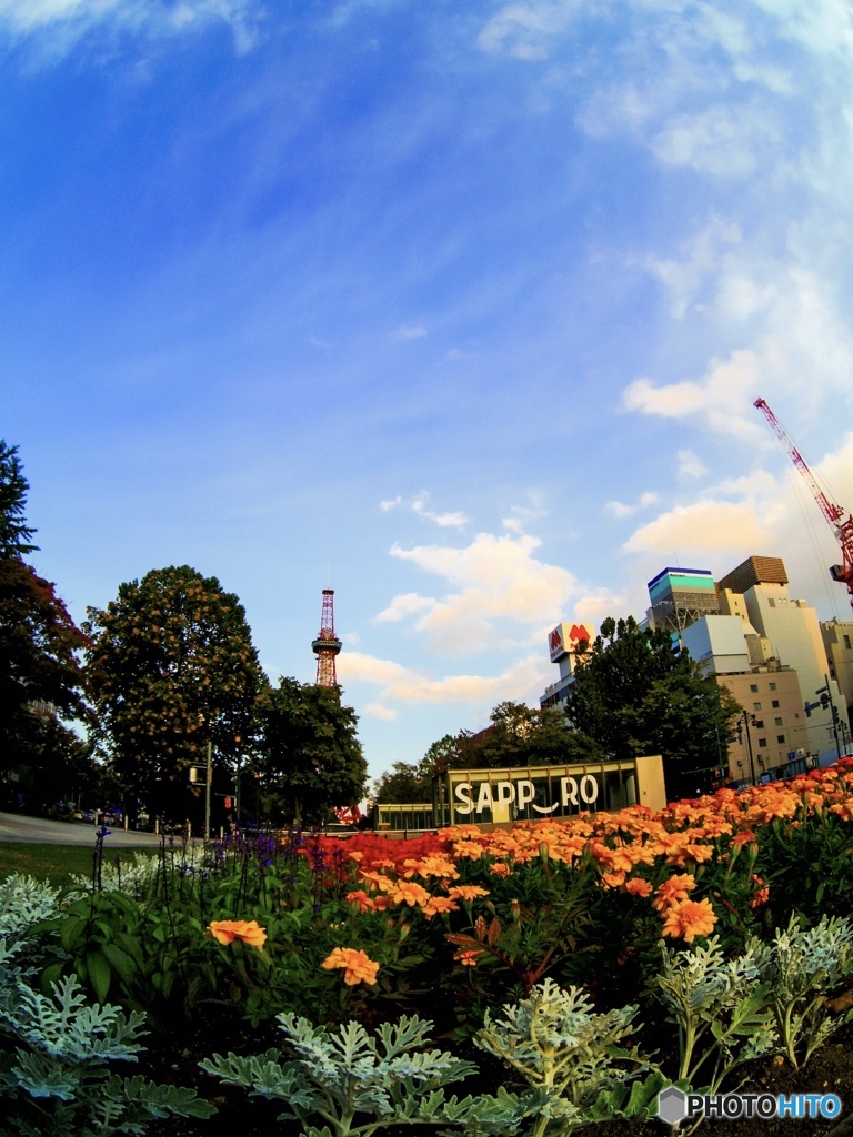 夕方の大通り公園6