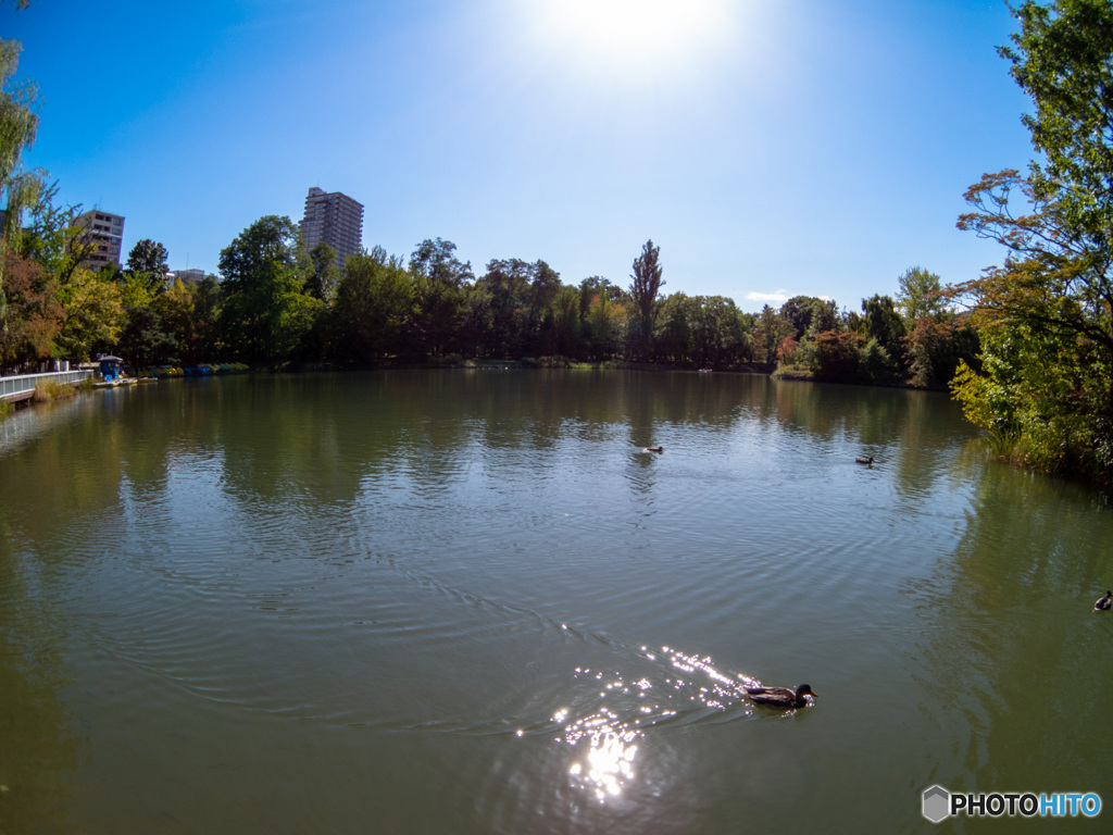 休日の公園