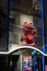 夢を与える猫