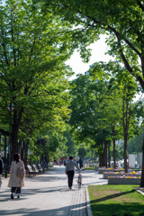 初夏の大通り公園1