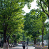 初夏の大通り公園1