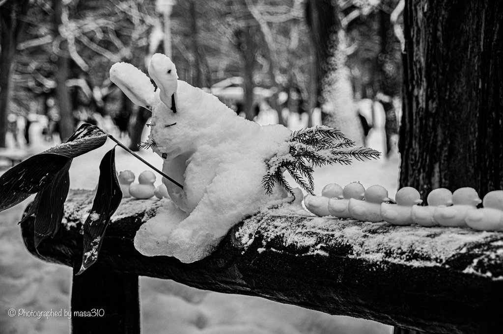 Snow Fairies 1
