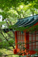 穴八幡宮