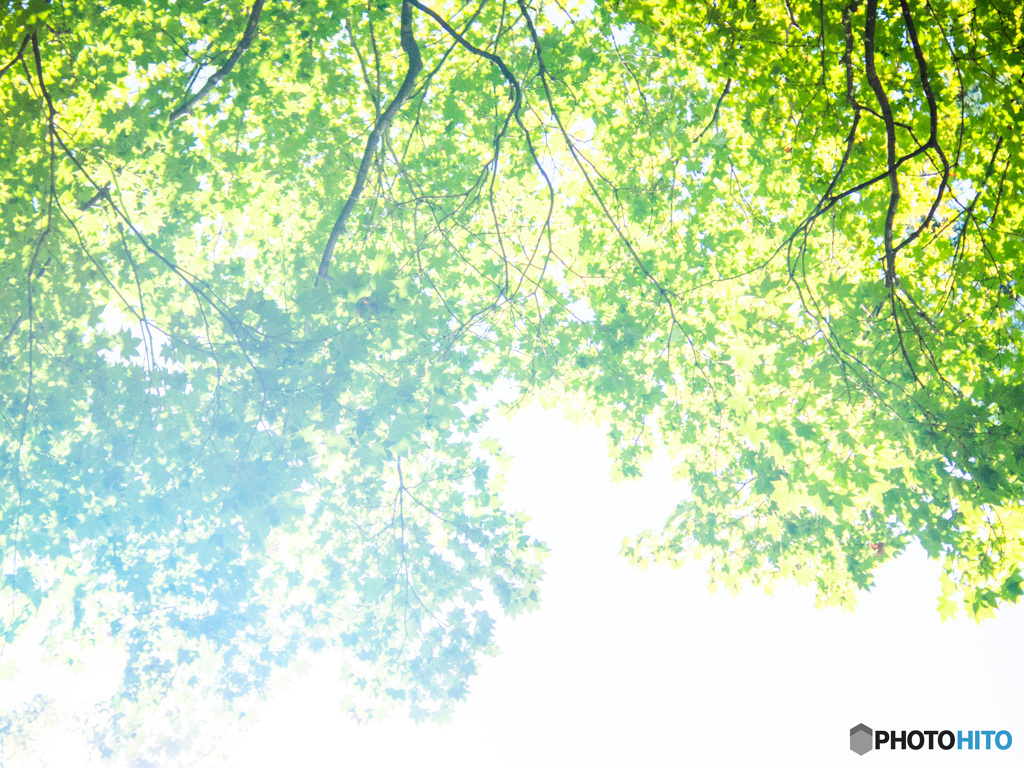 In the light 