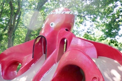 Playing with Octopus