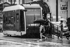 雨の中を走る札幌市電