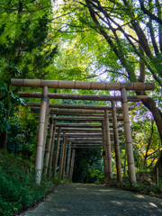 竹の鳥居