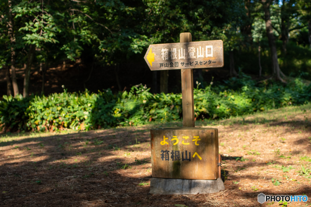 新宿　戸山公園