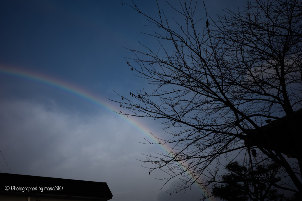 Rainbow in the Mist 2