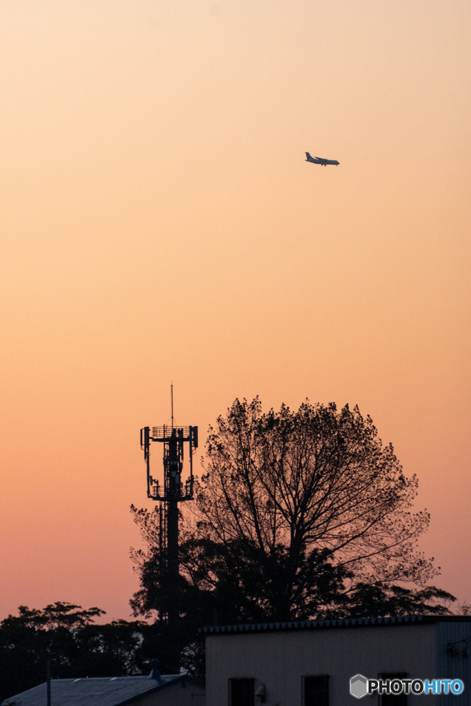 夕陽の丘珠空港⑥