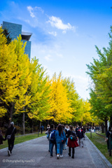 Nakajima Park in autumn 5