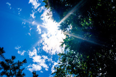 Summer Sunshine