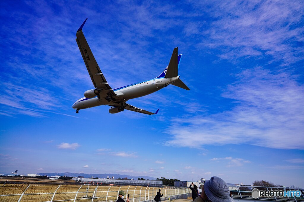 飛行機　デカッ!!