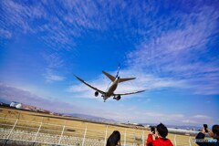 飛行機　デカッ!!