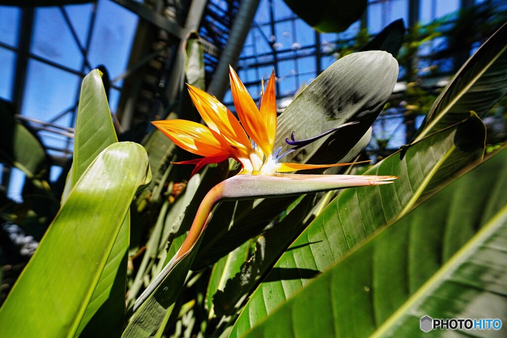 花の文化園にて