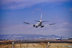 飛行機　デカッ!!