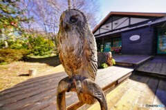 花の文化園にて
