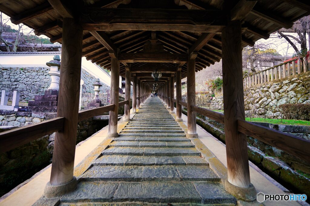 長谷寺にて