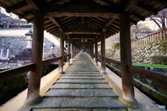 長谷寺にて