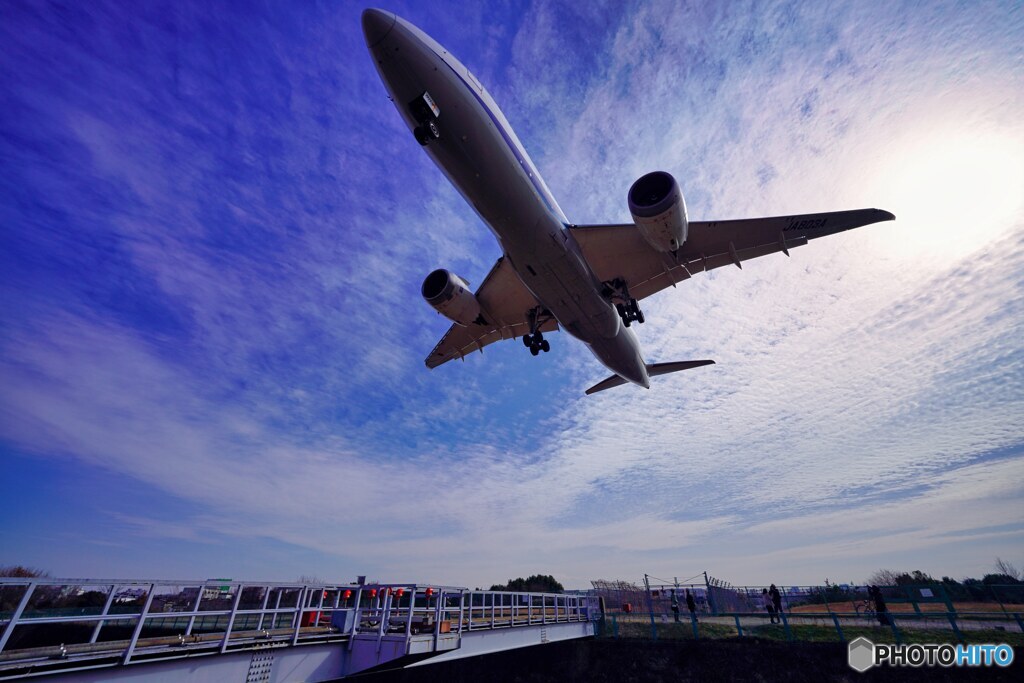 飛行機　デカッ!!