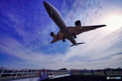 飛行機　デカッ!!