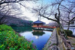 初詣(阿部文殊院にて)