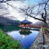 初詣(阿部文殊院にて)