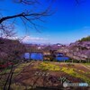 初詣(阿部文殊院にて)