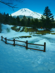 雪道からとった富士山