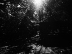日陰の公園の小屋