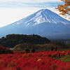 富士山　紅葉