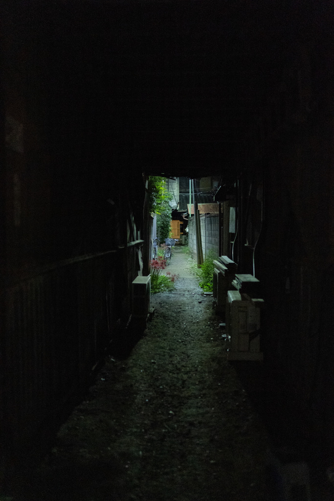 夜の川越さんぽ
