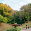トーベ・ヤンソンあけぼの子どもの森公園