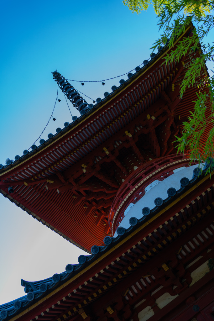 川越大師 喜多院