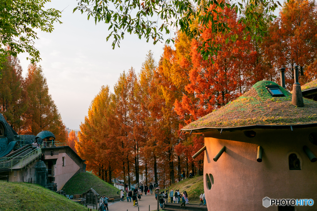 トーベ・ヤンソンあけぼの子どもの森公園