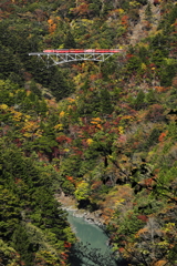 関の沢鉄橋を渡る井川線の電車
