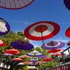 笠間菊祭りⅡ