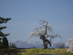 会津の山々達