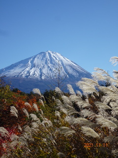 富士山めぐり