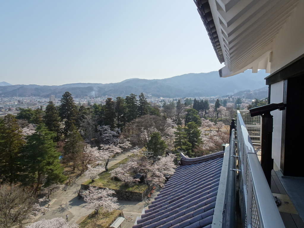 桜満開の鶴ヶ城