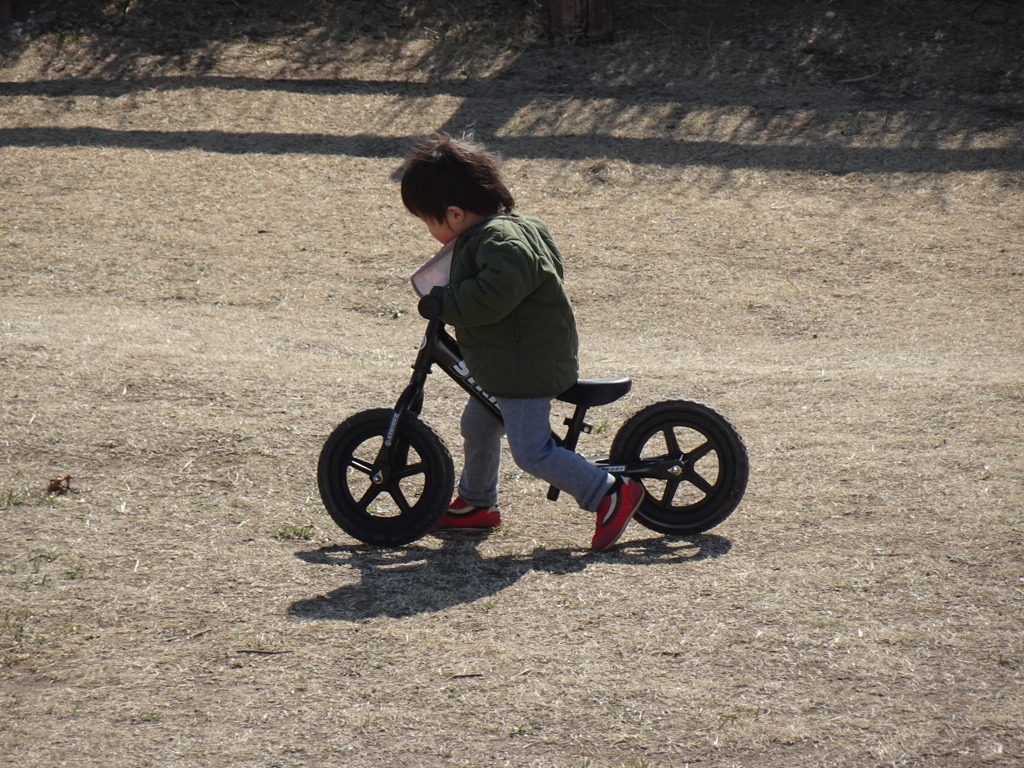 久慈浜の公園