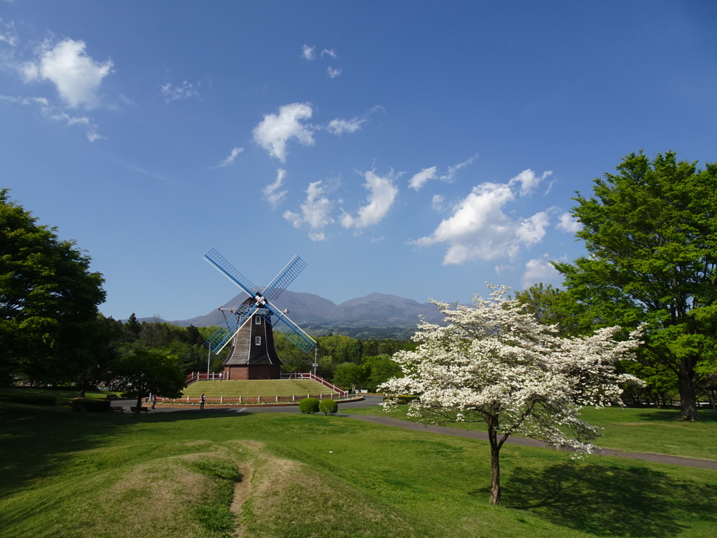 赤城山【陽春】