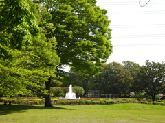 茨城県植物園【立夏】